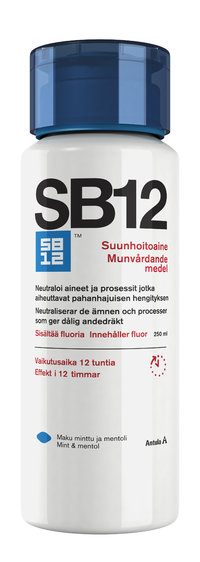 SB12 MINT/MENTHOL SUUVESI (250 ML)